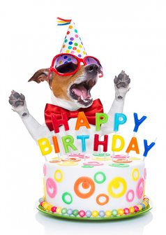 Happy Birthday Pakket Hond 