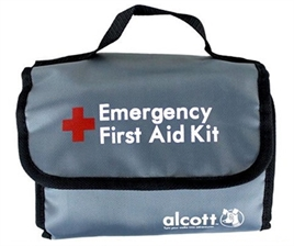 Alcott Explorer Kit 40 Delig