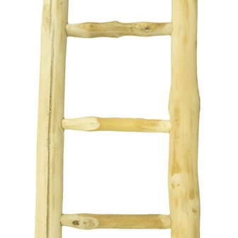 Back Zoo Nature Java Ladder 60 cm