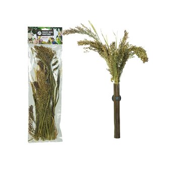 Back Zoo Nature Panicum 40 gram