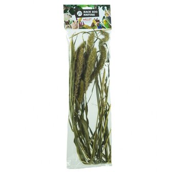 Back Zoo Nature Setaria 30 Gram