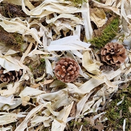 Back Zoo Nature Discovery Topping 10 ltr