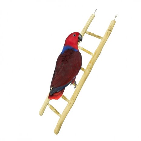 Back Zoo Nature Java Ladder 60 cm