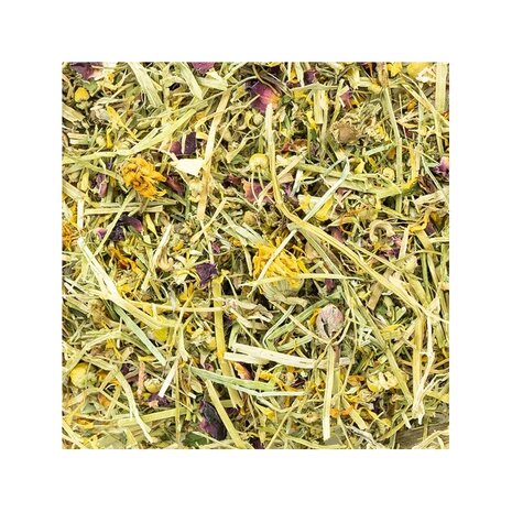 Back Zoo Nature Wild Flower Mix 150 gram