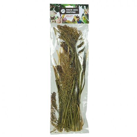 Back Zoo Nature Panicum 40 gram