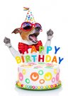 Happy-Birthday-Pakket-Hond