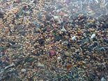 Ivorys-Luxe-Mix-1250-Gram