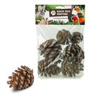 Back-Zoo-Nature-Forest-Pine-Cones-for-Birds